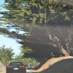 cambria2012CN_0019 (November 03, 2012)